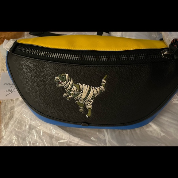 NWT! Coach 2 piece Michael B Jordan waist bag set - Picture 1 of 8